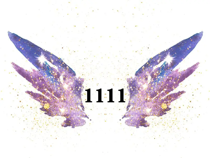 1111 meaning