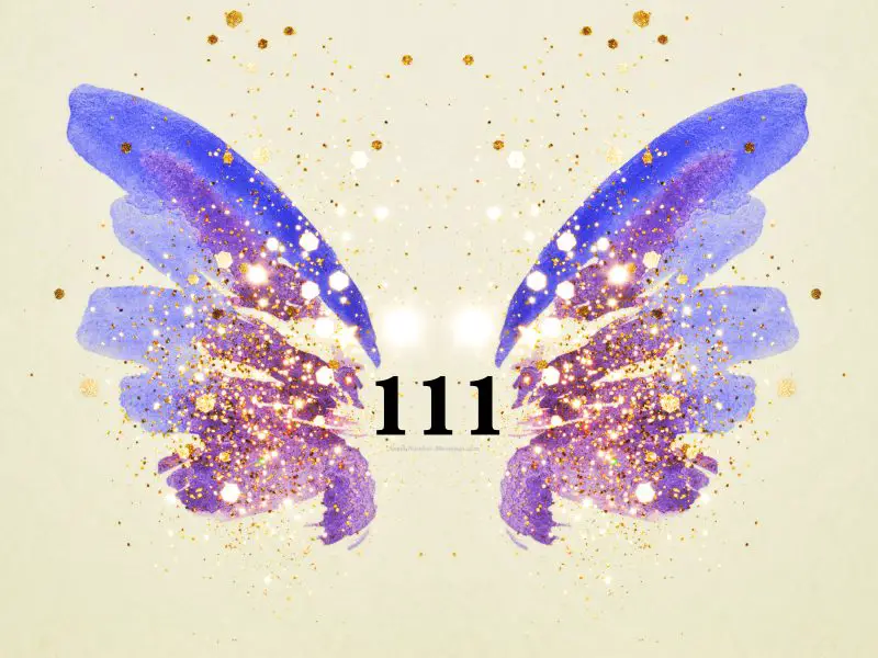 111 meaning