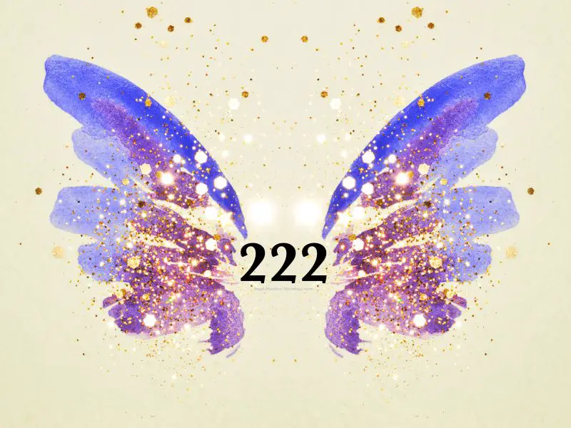 222 meaning